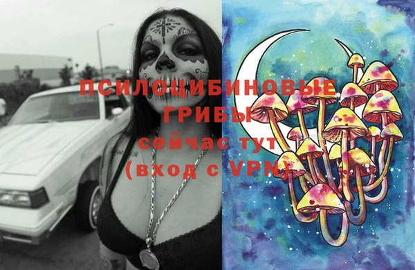 ECSTASY Володарск