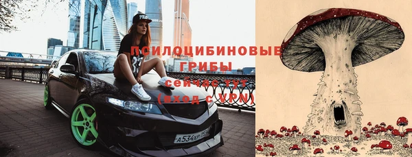 ECSTASY Володарск