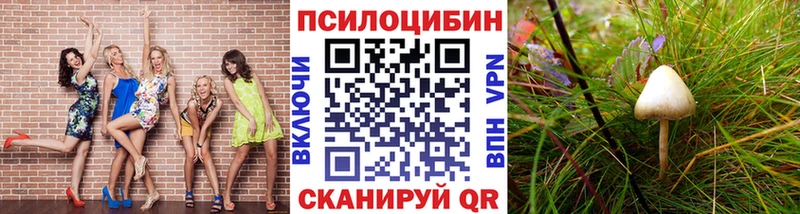 хочу   Карабаново  Галлюциногенные грибы прущие грибы 