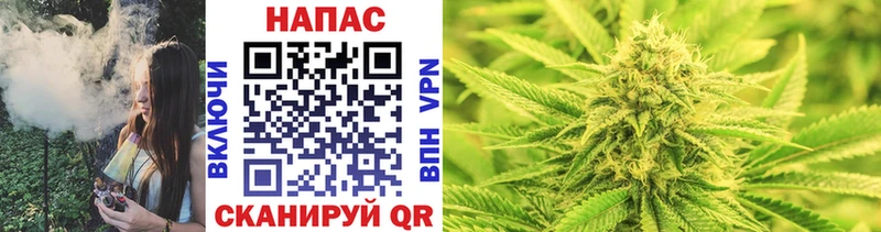 купить наркотики сайты  Карабаново  Каннабис SATIVA & INDICA 